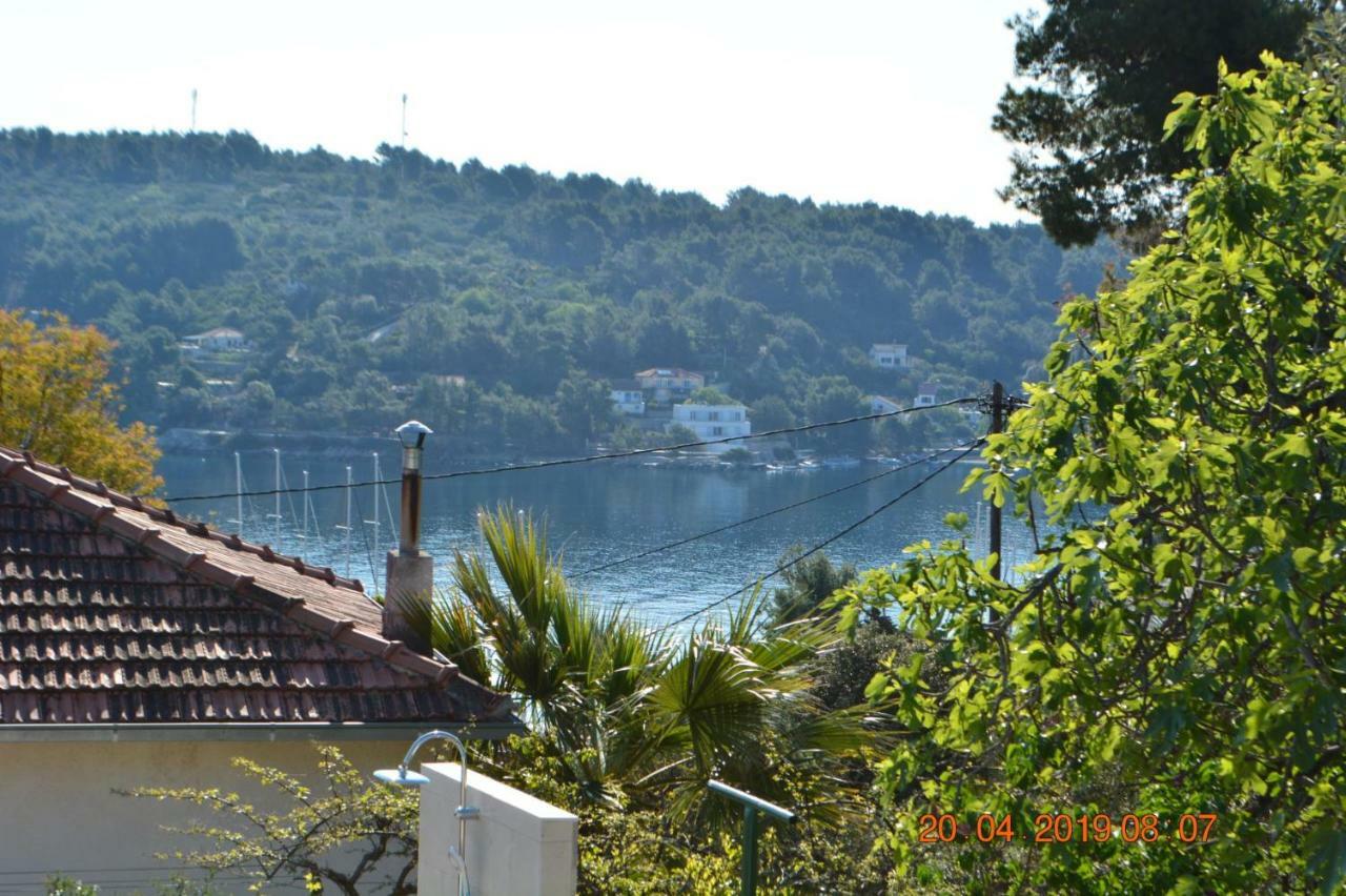 Sealodge: Luxurious Beachfront Villa with Private Pool and Sea Views Rogac Exterior photo